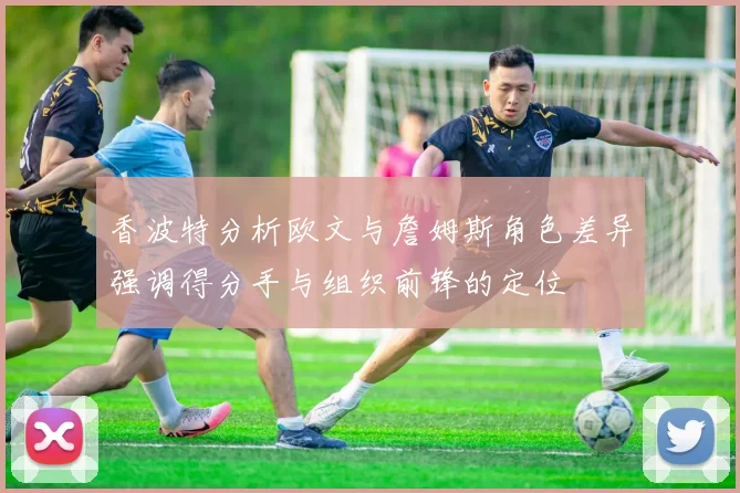 香波特分析欧文与詹姆斯角色差异强调得分手与组织前锋的定位