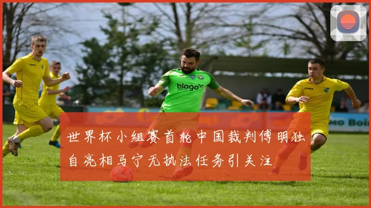 世界杯小组赛首轮中国裁判傅明独自亮相马宁无执法任务引关注