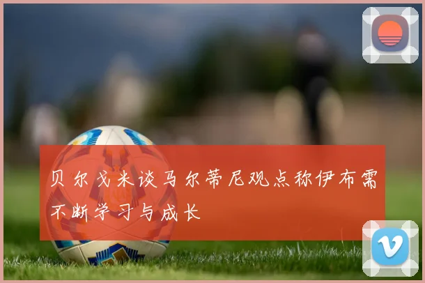 贝尔戈米谈马尔蒂尼观点称伊布需不断学习与成长